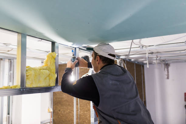 Best Commercial Insulation in Brambleton, VA