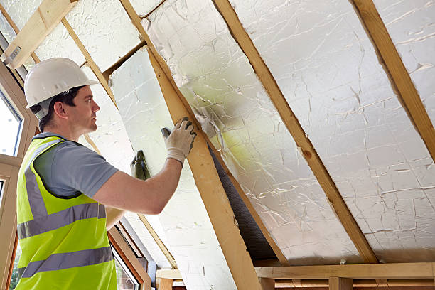 Best Insulation Maintenance and Repair in Brambleton, VA